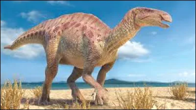 Top : Dinosaure herbivore de l'ordre des ornithischiens vivant au cr&eacute;tac&eacute; inf&eacute;rieur (entre 155, 7 et 93, 5 millions d'ann&eacute;es), je peuplais l'Europe, l'Asie, l'Afrique et l'Am&eacute;rique, mesurant environ 5 m de haut, j'&eacute;tais long de 6 &agrave; 10 m, et pesais plus de 4 tonnes, je suis...