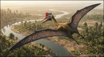 Top : Dinosaure du genre pt&eacute;rosaure je vivais au cr&eacute;tac&eacute; sup&eacute;rieur en Am&eacute;rique du Nord, il y a 66 millions d'ann&eacute;es environ, je suis le deuxi&egrave;me plus grand animal volant ayant exist&eacute;. Mesurant 12 m&egrave;tres d'envergure, 8 m&egrave;tres de long, 6 m&egrave;tres de haut je me d&eacute;pla&ccedil;ais &agrave; quatre pattes, pour un poids de 100 kilogrammes, je suis...