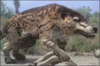 Top : Dinosaure, pr&eacute;dateur, j'ai v&eacute;cu &agrave; l'&eacute;poque de l'&Eacute;oc&egrave;ne (56 &agrave; 33, 9 millions d'ann&eacute;es). Pouvant mesurer 5 m de long, 2 m au garrot, j'avais un cr&acirc;ne allong&eacute; d'environ 1 m. Je pouvais peser jusqu'&agrave; 2 tonnes. Assez peu rapide &agrave; la chasse, j'&eacute;tais plus un carnassier, je suis...