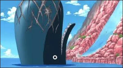 Quel membre de l'&eacute;quipage de Luffy conna&icirc;t cette baleine depuis tr&egrave;s longtemps ?
