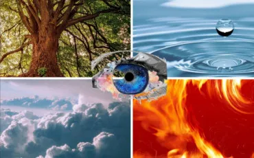 Quiz Test de personnalité