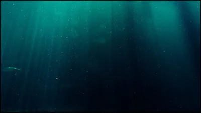 Quel est le plus profond oc&eacute;an du monde ?