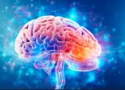 Test Cerveau ou instinct ?