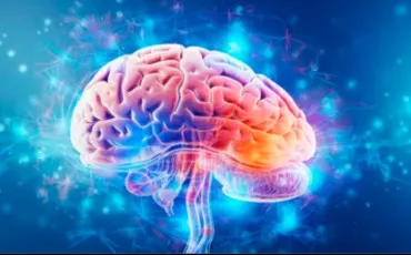 Quiz Test de personnalité
