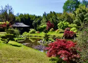 Quiz Jardin