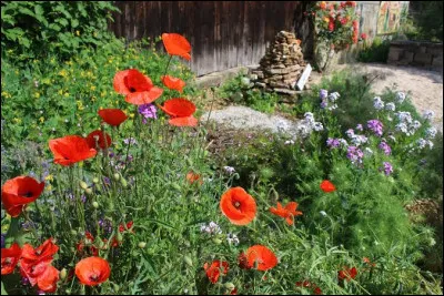 Dans quel livre sont cit&eacute;es les plantes cultiv&eacute;es dans le Jardin du Livre &agrave; Valff ?