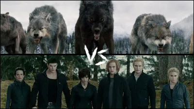 De quel clan Edward fait-il partie ?