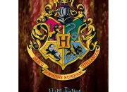 Quiz Qui sont ces personnages de ''Harry Potter'' ? (4)