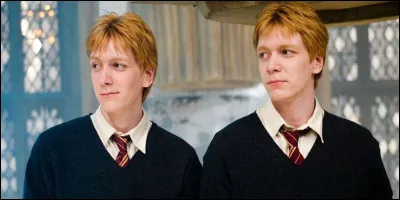 Comment s&rsquo;appellent les jumeaux Weasley ?