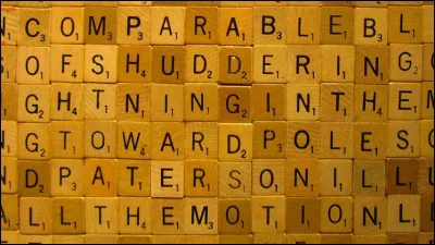 Quel est le mot fran&ccedil;ais le plus long officiellement admis dans les dictionnaires courants ?