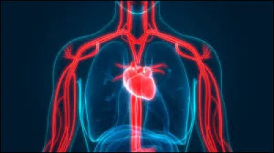 Quel scientifique a d&eacute;couvert la circulation sanguine au XVIIe si&egrave;cle ?
