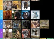Quiz Les animaux