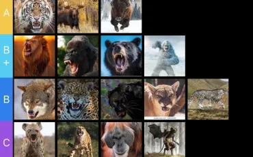 Quiz Animaux