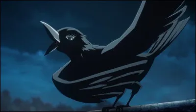 &Agrave; qui appartient ce corbeau ?