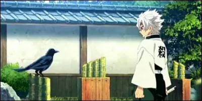 Comment s'appelle cet oiseau ?