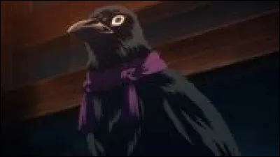 Enfin, &agrave; qui appartient ce corbeau ?