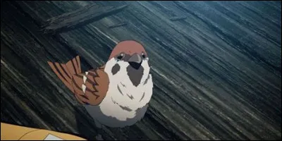 Ah, c'est un moineau... Pas grave, quel est son nom ?