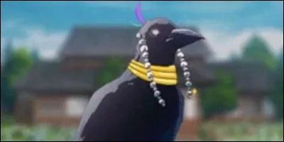 Quel est ce corbeau ?