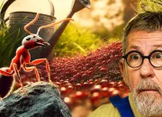 Quiz 13 mots ou noms commençant par I comme insecte