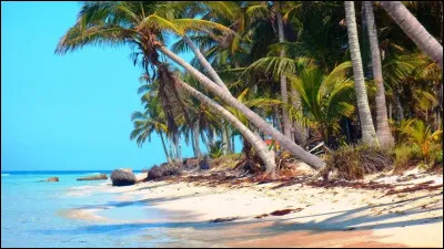 Quel est le plus grand golfe du monde ?