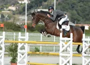 Quiz Passez son galop 1