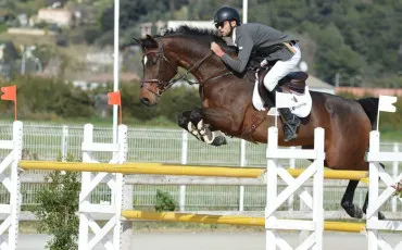 Quiz Equitation