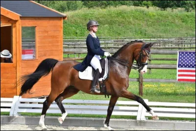 Compl&eacute;tez : Le trot est une allure &agrave; deux...