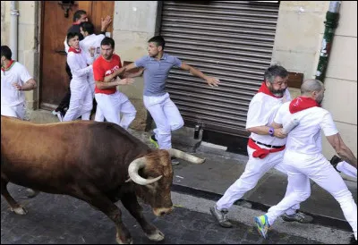 Dans quelle ville se d&eacute;roule la f&ecirc;te de San Ferm&iacute;n, c&eacute;l&egrave;bre pour ses courses de taureaux ?