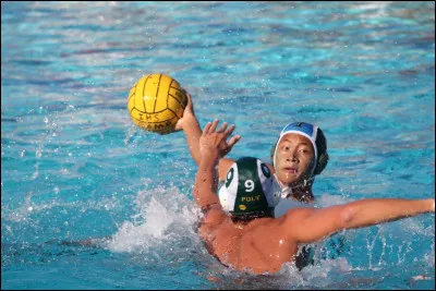 Combien de joueurs composent une &eacute;quipe de water-polo dans l'eau ?