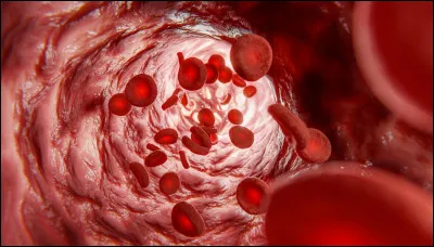 Quel scientifique a d&eacute;couvert la circulation sanguine ?