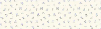 Quelle couleur pr&eacute;f&egrave;res-tu ? (2/2)