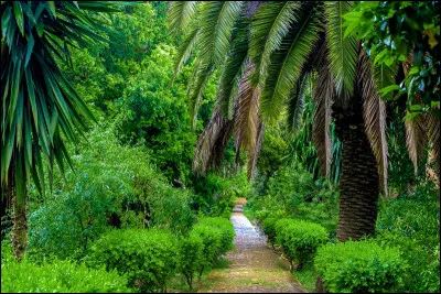 Quel pays poss&egrave;de la plus grande for&ecirc;t tropicale du monde ?