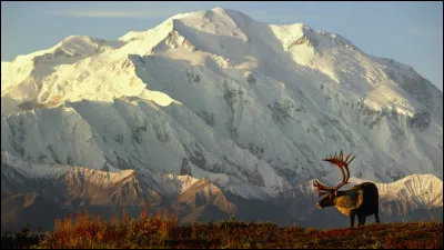 Quel est le plus haut sommet d'Am&eacute;rique du Nord ?