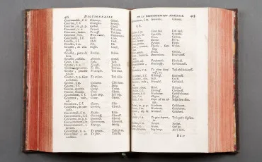 Quiz Vocabulaire