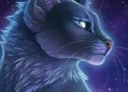 Quiz LGDC ~ Étoile Bleue