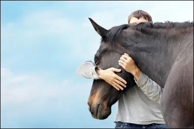 Quelle est ta robe de cheval pr&eacute;f&eacute;r&eacute;e ? (2)