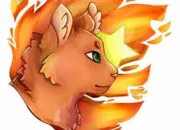 Quiz LGDC ~ Étoile de Feu