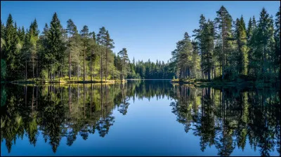 Quel pays poss&egrave;de la plus grande superficie de for&ecirc;t bor&eacute;ale ?