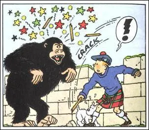 Et le gorille en question c'est ...