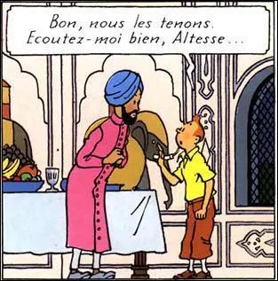 Accrochez-vous ! Voici le maharadjah ...