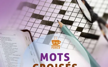 Quiz Vocabulaire
