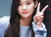 Quiz Connais-tu bien Tzuyu de Twice ?🦌