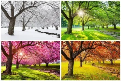 Quelle saison aimes-tu ?