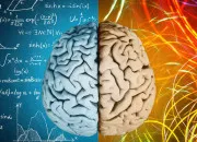 Quiz Culture générale avec explications
