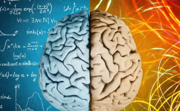 Quiz Cerveau