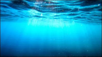 Quel est le plus grand oc&eacute;an de la plan&egrave;te ?