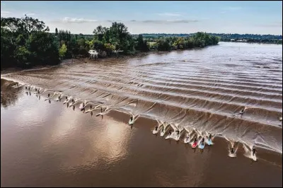 Comment se nomme cette petite vague due &agrave; la mar&eacute;e, sur les estuaires ?