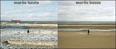 Qu'est-ce qui favorise l'amplitude d'une mar&eacute;e ?
