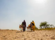 Quiz Météorologie - Les pays les moins pluvieux du monde