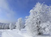 Quiz Seuls les vrais réussiront ce quiz